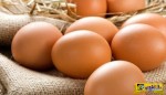 Πώς θα καταλάβετε αν τα αυγά δεν είναι φρέσκα – Το απίστευτο κόλπο με το αλάτι!