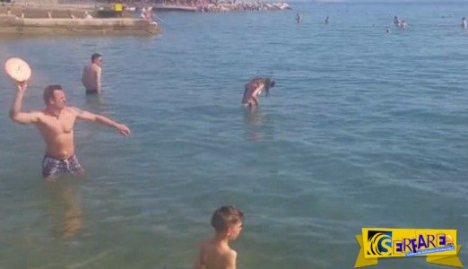 Σοβαρά τώρα. Κάποιος να τους μάθει πως παίζεται το φρίσμπι!