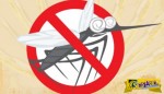 Ο πιο εύκολος και αποτελεσματικός τρόπος για να διώξετε τα κουνούπια!