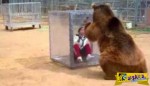 Απίστευτη η Ιαπωνική τηλεόραση: Πεινασμένη αρκούδα τρομοκρατεί τους παίκτες!