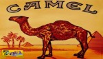 Για δες καλύτερα! Αλήθεια, τι κρύβει η καμήλα στα τσιγάρα Camel;