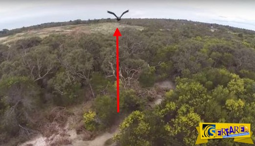 Δείτε πώς ένας αετός καταστρέφει μία κάμερα στην προσπάθεια του να προστατέψει την φωλιά του!