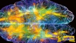 Η περιοχή του εγκεφάλου που κάνει τον άνθρωπο μοναδικό!