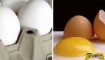 Ποια η διαφορά με τα άσπρα και τα καφέ αυγά;