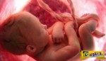 Τρομερό βίντεο: Το «θαύμα» της ζωής από το $εξ ως την γονιμοποίηση!