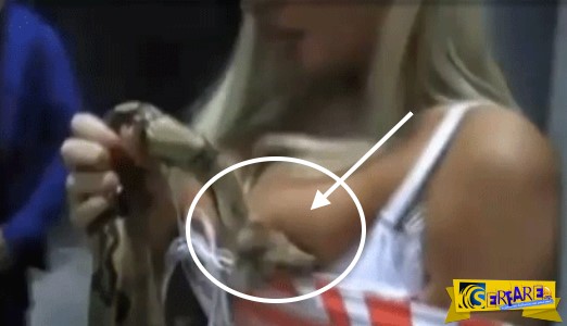Φίδι δάγκωσε μοντέλο στο στήθος και πέθανε… το φίδι!