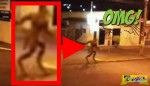 ΑΝΑΤΡΙΧΙΑΣΤΙΚΟ: Πλάσμα που μοιάζει με ΛΥΚΑΝΘΡΩΠΟ σουλατσάρει σε πόλη της Βραζιλίας – Η φωτογραφία κάνει τον γύρο του κόσμου!