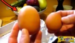 Η κότα τους γέννησε αυτό το ΤΕΡΑΣΤΙΟ αυγό. Δείτε τι βρήκαν μέσα σε αυτό, όταν το έσπασαν…