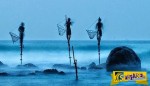 Ο πιο περίεργος τρόπος ψαρέματος – Άνδρες πάνω σε ξυλοπόδαρα, μέσα στη θάλασσα, ακίνητοι για ώρες!