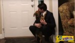 Δείτε την συγκινητική αντίδραση ενός σκύλου όταν συνάντησε το αφεντικό του μετά απο δύο χρόνια!