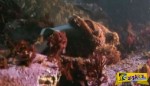ΦΟ-ΒΕ-ΡΟ! Τεράστιο χταπόδι σκοτώνει καρχαρία! Δείτε το σοκαριστικό βίντεο!