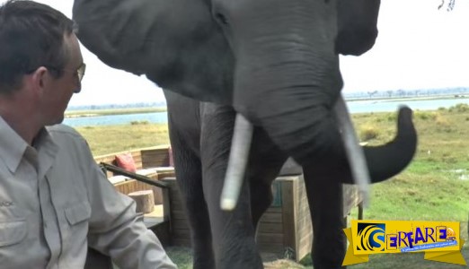 Ελέφαντας καταστρέφει το γεύμα ξέγνοιαστων τουριστών σε ένα εθνικό πάρκο της Αφρικής!