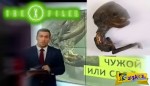 Μικροσκοπικό εξωγήινο πτώμα βρέθηκε κοντά σε ένα ποτάμι στη Ρωσία!