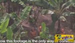 Αεροπλάνο τράβηξε σπάνια, άγρια φυλή που ζει στον Αμαζόνιο - ΠΡΕΠΕΙ NA TO ΔΕΙΣ
