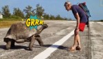 Εξερευνητής του National Geographic διέκοψε τη χελώνα από τα συζυγικά της καθήκοντα και δείτε τι έγινε