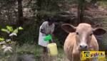 Αλάτι και μπαταρία αυτοκινήτου - Δείτε τί κάνουν στην Κένυα για να έχουν πόσιμο νερό