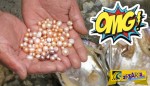 Αυτή η τυχερή γυναίκα άνοιξε ένα μύδι και βρήκε μέσα πολλά μαργαριτάρια!