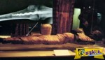 Χειρουργικό μεταλλικό εμφύτευμα σε μουμιοποιημένο σώμα πριν από 2.600 χρόνια!