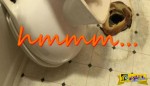 Όταν άκουσε έναν περίεργο θόρυβο από την τουαλέτα, ποτέ του δεν περίμενε ότι θα δει αυτό το πράγμα