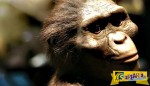 Αυστραλοπίθηκος Λούσι: Το νέο doodle της Google!