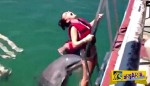 Αυτό το δελφίνι βοηθάει την κοπέλα με τον καλύτερο τρόπο για να ανέβει στο σκάφος!