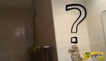 Ίσως ό,τι πιο τρομακτικό και απροσδόκητο μπορούσε να βρει στο μπάνιο του!