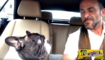Ξεκαρδιστικό βίντεο: O σκύλος συμμετέχει ως δεύτερη φωνή και τραγουδά μαζί με τον ιδιοκτήτη του!