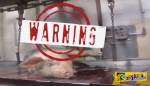 Φρικτό βίντεο από βασανιστήρια σε σφαγείο ζώων! - Σκληρές εικόνες! (+18)