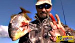 Ένα ψάρι πιράνχα του έκοψε το δάχτυλο την ώρα που βιντεοσκοπούσε την διαδικασία του ψαρέματος