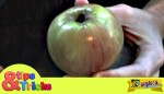Πως να κόψετε ένα μήλο με τα χέρια σας!