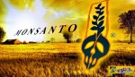 Το μυστικό της Monsanto που σκοτώνει χιλιάδες! Μεγάλη αλήθεια που πρέπει να ακούσεις και να πιστέψεις...