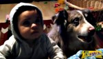 Σε ένα ξεκαρδιστικό video, σκύλος λέει «μαμά» για να φάει πριν το μωρό