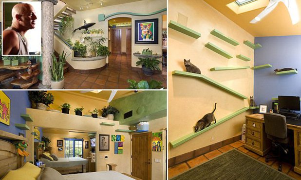 Cat Lover's House Has Meow Factor