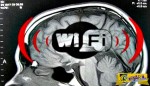 Επιστήμονες κρούουν τον κώδωνα: Πόσο επικίνδυνο είναι το Wi-FI για την υγεία;