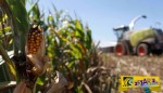 Επιστήμονες συνδέουν την Monsanto με τις εμφανίσεις γενετικών ανωμαλιών του ιού Ζίκα