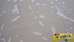 Εκατοντάδες μύδια βγαίνουν από την άμμο σε ένα σπάνιο φαινόμενο πολύ εντυπωσιακό!