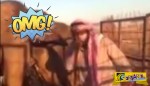 Σαουδάραβας πίνει και πλένει το πρόσωπό του με ούρα καμήλας!