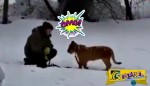 Η στιγμή της επίθεσης ενός λιονταριού σε παιδάκι σε ζωολογικό κήπο