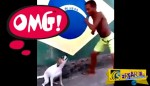 Απίστευτο! Σκύλος από τη Βραζιλία χορεύει σάμπα!