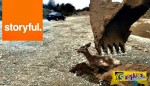 Συγκλονιστικό βίντεο: Ελαφάκι είχε εγκλωβιστεί μέσα στη λάσπη - Δείτε τον τρόπο που διασώθηκε!