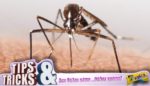 Δείτε το κόλπο για να μην σας τσιμπήσουν φέτος τα κουνούπια!