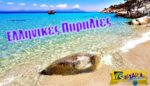 Γι αυτό η Ελλάδα το καλοκαίρι είναι η καλύτερη χώρα του πλανήτη: Aπίστευτο βίντεο με τις ομορφότερες παραλίες της πατρίδας μας!