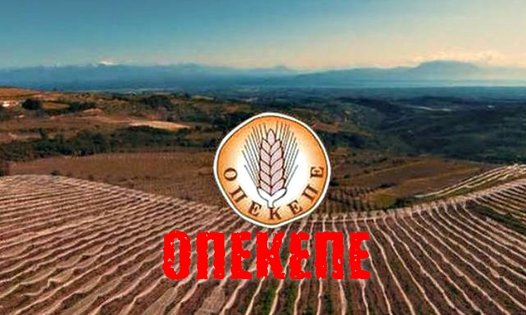 ΟΠΕΚΕΠΕ Ενιαία ενίσχυση: Ποιοι κινδυνεύουν να μην την πληρωθούν!