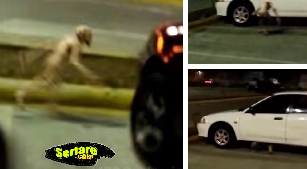 Παράξενο πλάσμα βιντεοσκοπεί νεαρός σε πάρκινγκ στις ΗΠΑ