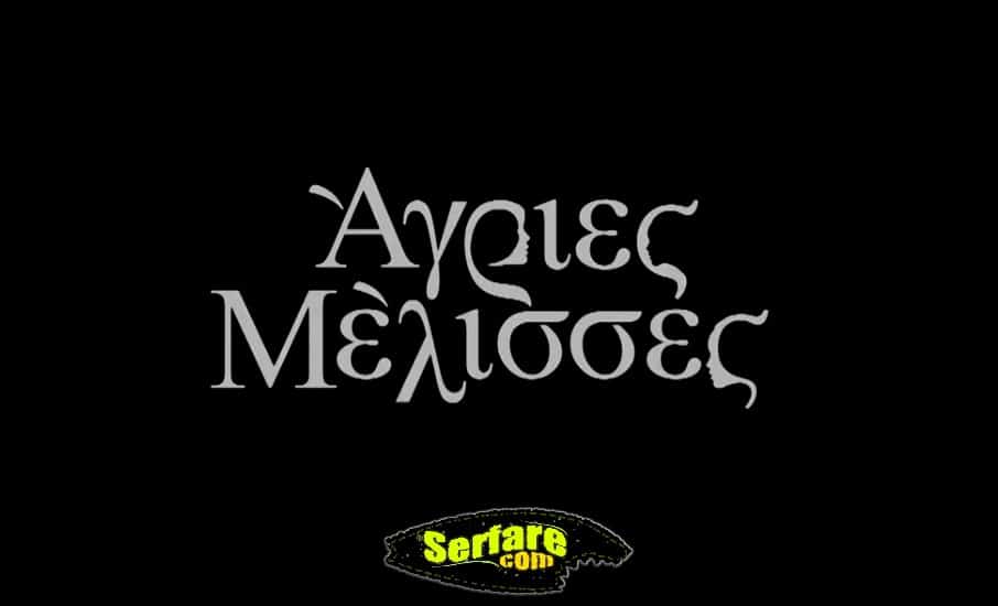 Άγριες Μέλισσες Υπόθεση: Η πλοκή και οι ρόλοι αναλυτικά 