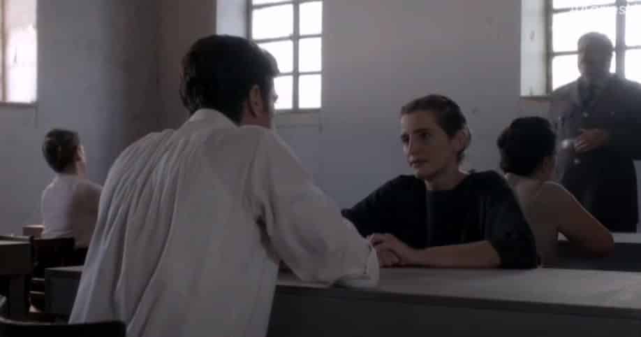 Άγριες Μέλισσες εξελίξεις: