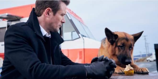 Αστυνόμος Ρεξ ΑΝΤ1: Έρχεται με καινούργια επεισόδια