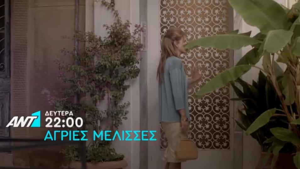 Άγριες Μέλισσες spoiler: Μεγάλες ανατροπές - Η Δρόσω έγκυος απο τον ...