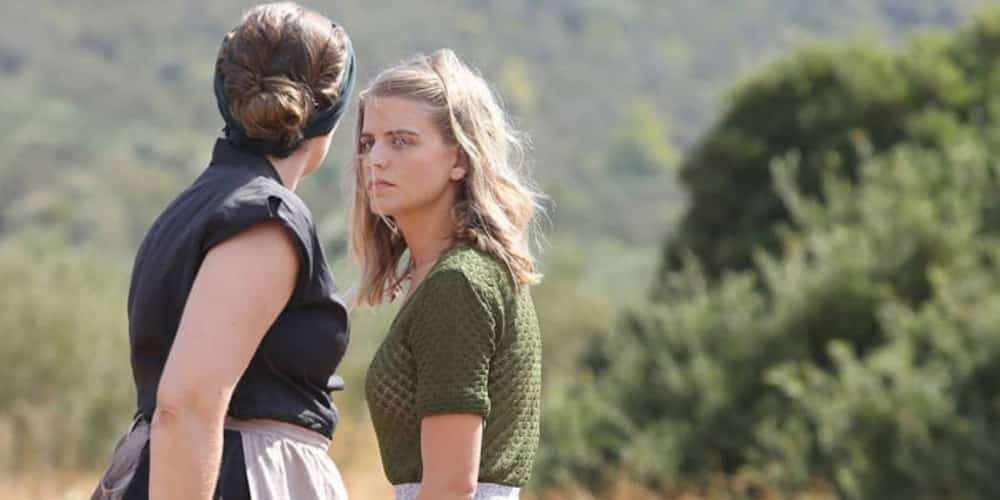 Αντ1 Άγριες Μέλισσες: Η Ασημίνα φοβάται πως η Δρόσω θα της πάρει και το παιδί