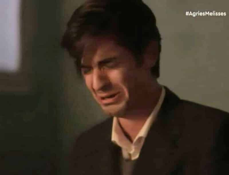 Άγριες Μέλισσες εξελίξεις: Έτσι μαθαίνει τα πάντα ο Λάμπρος τα πάντα για την Ελένη